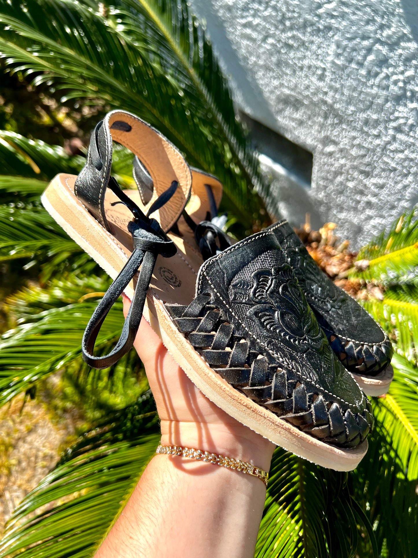 Mariposa Negra