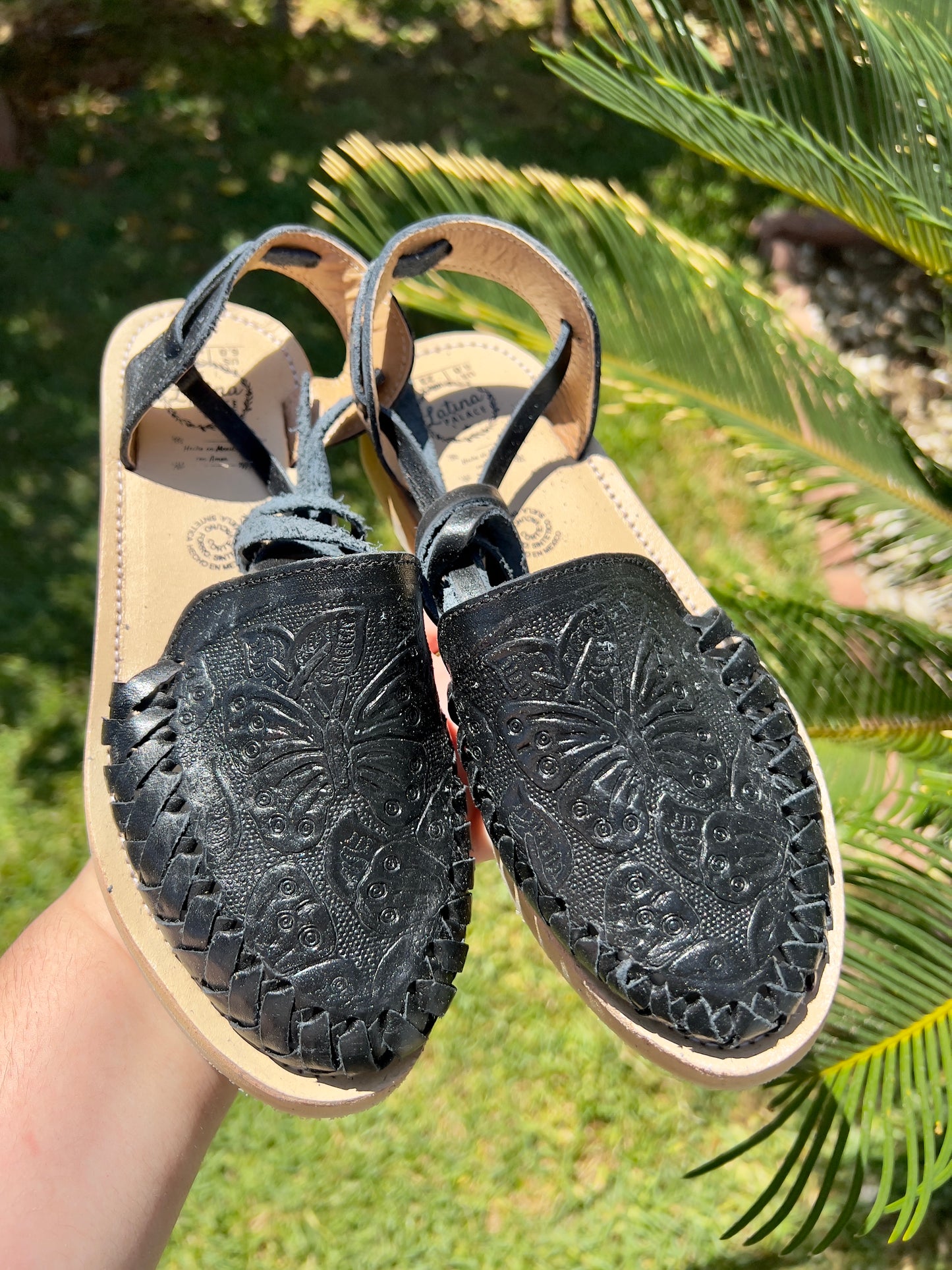 Mariposa Negra