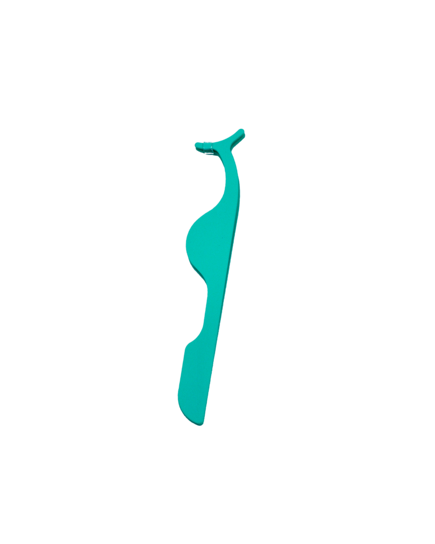 LASH APPLICATOR - Latina Palace