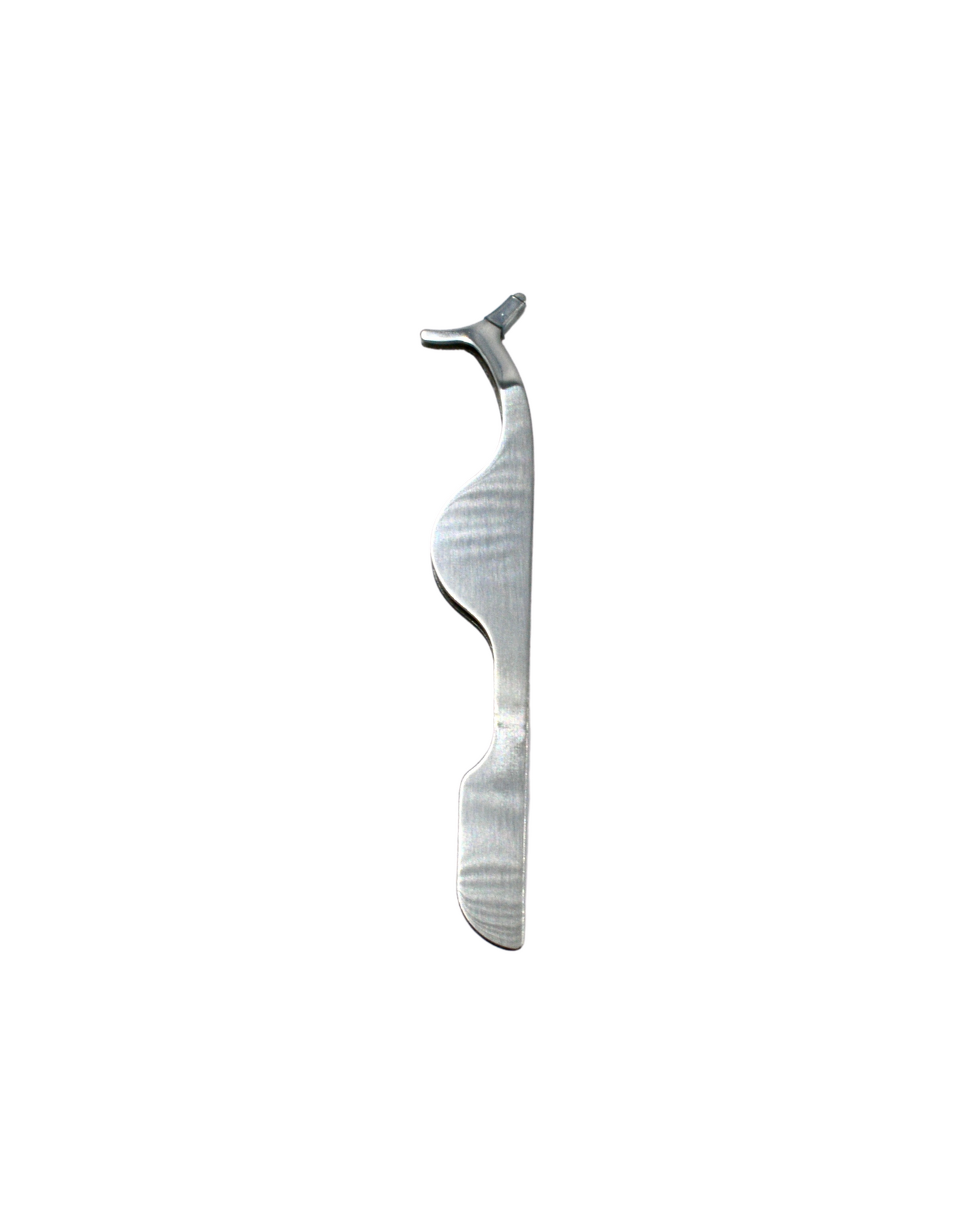 LASH APPLICATOR - Latina Palace