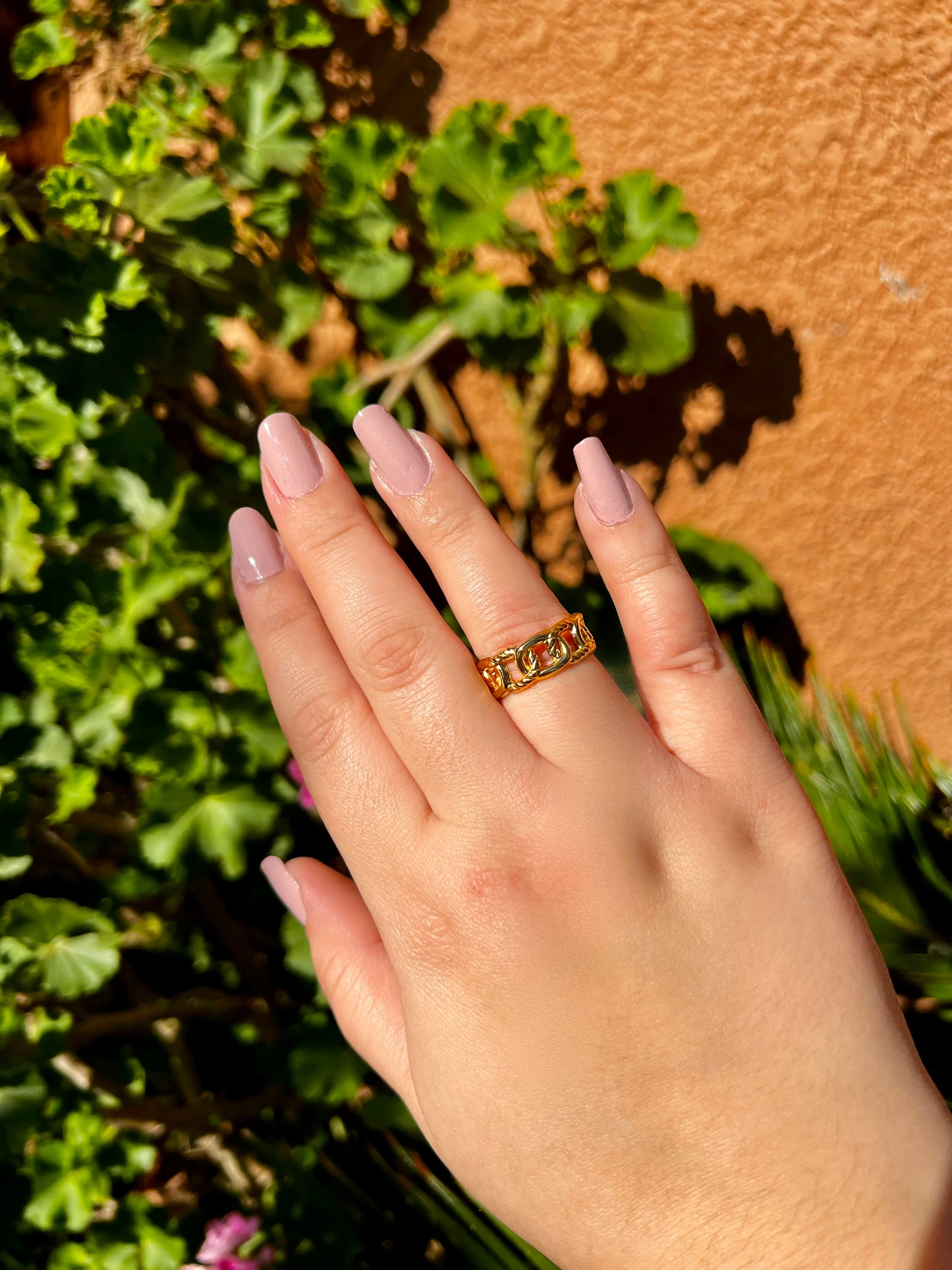Link Ring