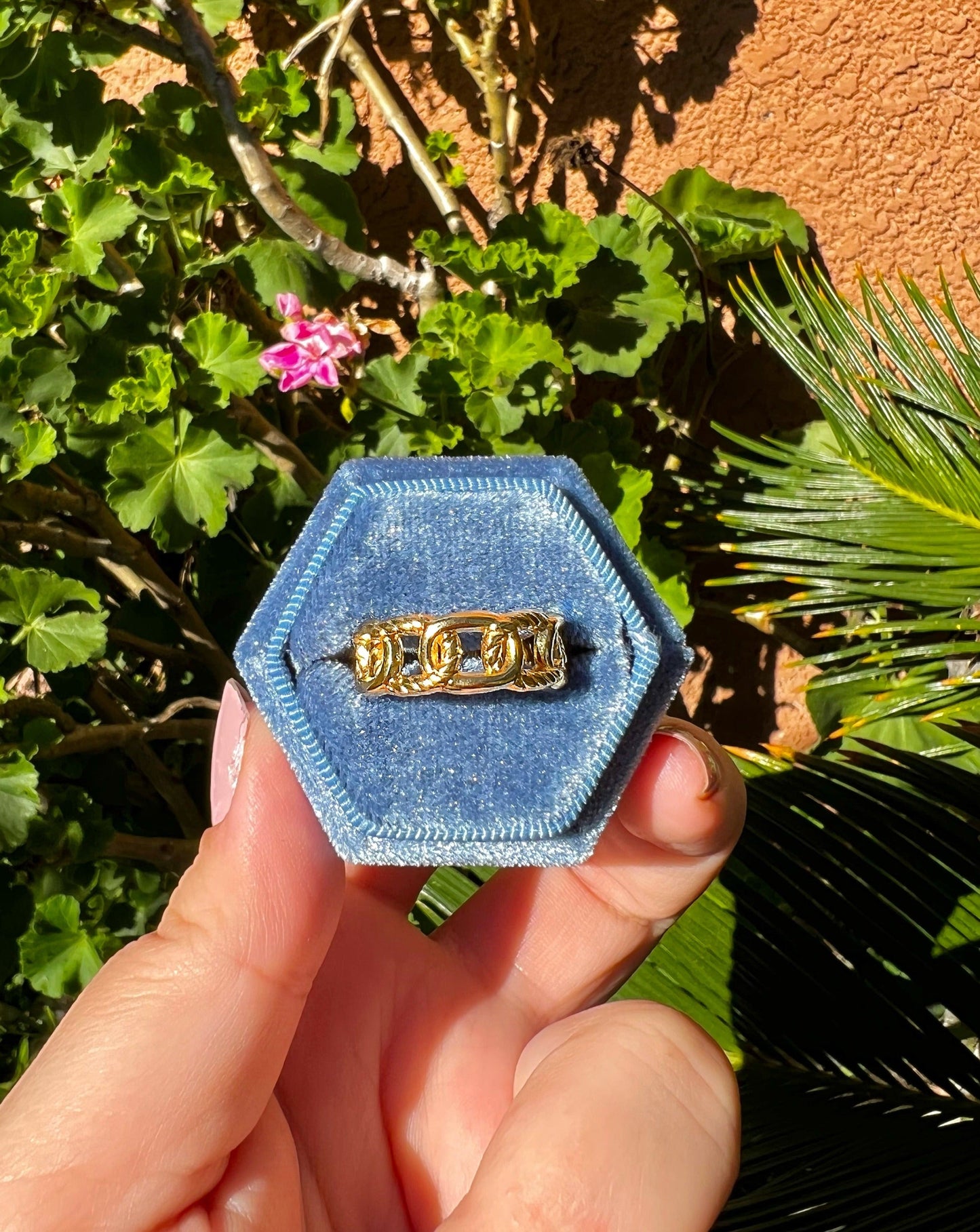 Link Ring